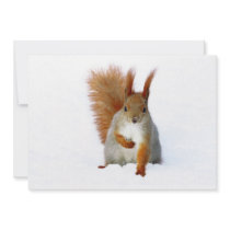 Red Squirrel sitting on snow Personalized Invitations