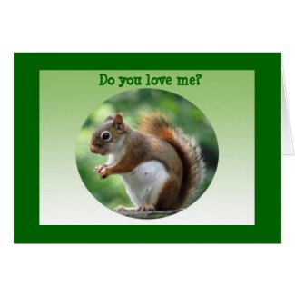 Red Squirrel Valentine Cards