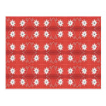 red star flowers postcards