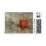 Red Starfish Stamp