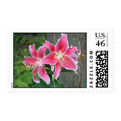 Red Stargazer Lillies Stamp by jazzrock
