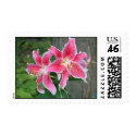 Red Stargazer Lillies postage