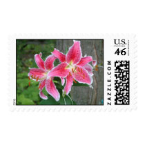 Red Stargazer Lillies postage by jazzrock Red Stargazer Lillies postage