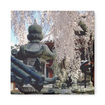 Red Stone lanterns, pink blossom, Nara, Sakura flo Fridge Magnets