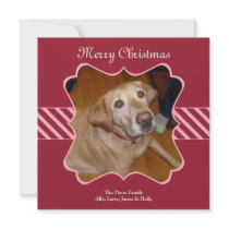 Red stripe Christmas holiday photo greeting card invitations by FidesDesign Red stripe Christmas holiday photo greeting card invitations
