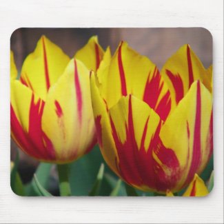 Red Striped Tulips Mousepad mousepad