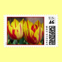 Red Striped Tulips Postage postage