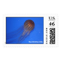 "Red Stripped Jelly" postage postage
