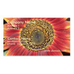 Red Sunflower Business Card