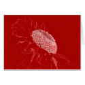 Red sunflower cards