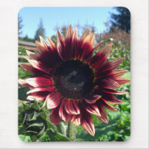 Red Sunflower Mousepad