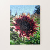 Red Sunflower Puzzle