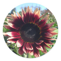 Red Sunflower Stickers