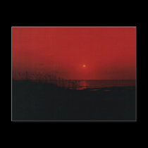 " Red Sunrise " Postcard