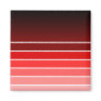red swatch fridge magnet