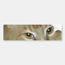 Red Tabby Maine Coon Bumper Stickers