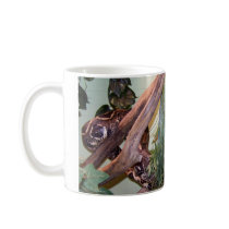 Red Tail Boa mugs by Natures_Whisper Red Tail Boa mugs