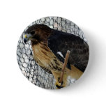 Red Tail Hawk Pins Red Tail Hawk Pins