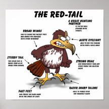 Red-tail Hawk Cartoon Posters