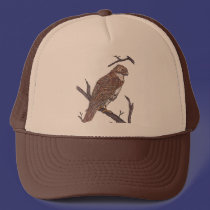 red tail hawk hats