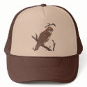 red tail hawk hats