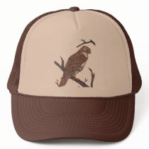 red tail hawk hats