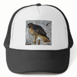 Red Tail Hawk Mesh Hat Red Tail Hawk Mesh Hat