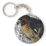 Red Tail Hawk Keychains Red Tail Hawk Keychains