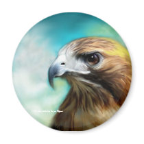 Red Tail Hawk Magnets