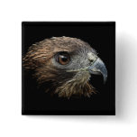 Red-tail Hawk pastel Pinback Buttons