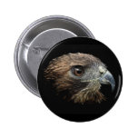 Red-tail Hawk pastel Pin