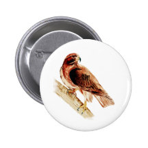 Red Tail Hawk Pin