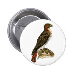 Red Tail Hawk Pin