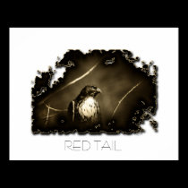 RED TAIL posters