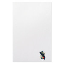 Red tailed, Black (Banksian) Cockatoos. Stationery Paper