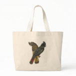Red-tailed Black Cockatoo Pair bags