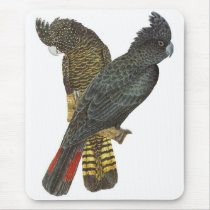 Red-tailed Black Cockatoo Pair Mouse Mats