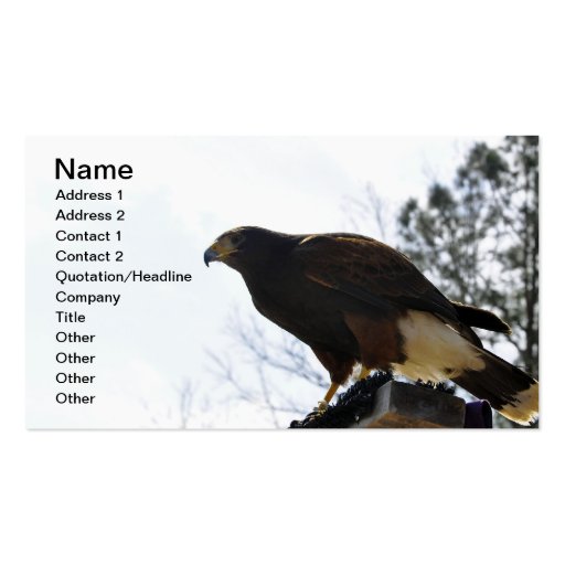 Red Tailed Hawk Against a Blue Sky Business Sky Business Card Template (front side)