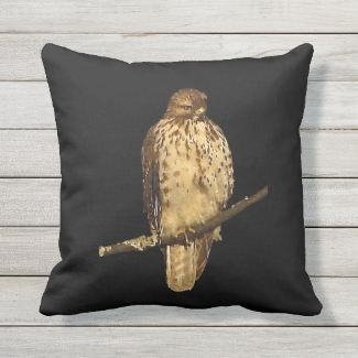 Red-Tailed Hawk Animal Outdoor Pillow