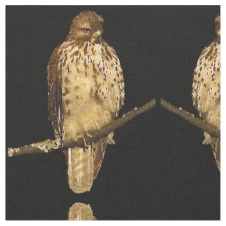 Red Tailed Hawk Bird Fabric