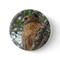 Red Tailed Hawk Button by natures_edge Red Tailed Hawk Button