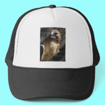 Red-tailed Hawk/Buzzard hats by Artists4God Red-tailed Hawk/Buzzard hats
