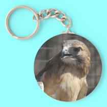 Red-tailed Hawk/Buzzard keychains by Artists4God Red-tailed Hawk/Buzzard keychains