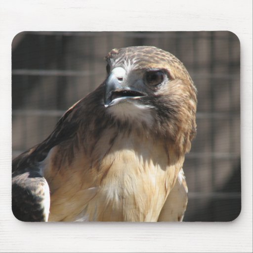 Red-tailed Hawk/Buzzard Mouse Pads