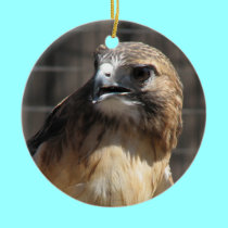 Red Tailed Hawk/Buzzard Ornament