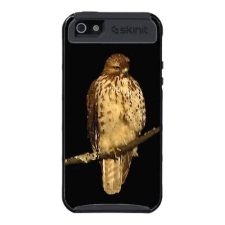 Red Tailed Hawk Cases For iPhone 5