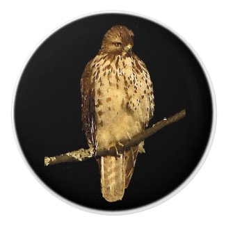 Red Tailed Hawk Ceramic Knob