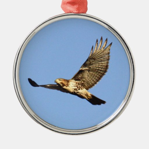 Hawk Christmas Ornament 