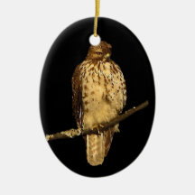 Red Tailed Hawk Christmas Tree Ornament