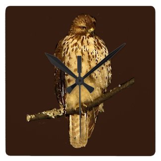 Red-Tailed Hawk Clock
